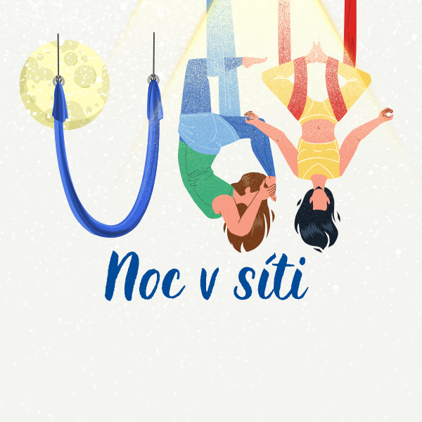 Noc v síti