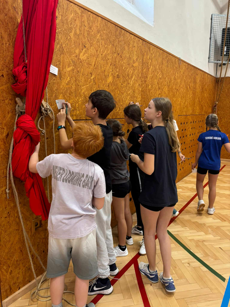 c94f11e7-42fe-4594-8577-76f57a454d47.jfif