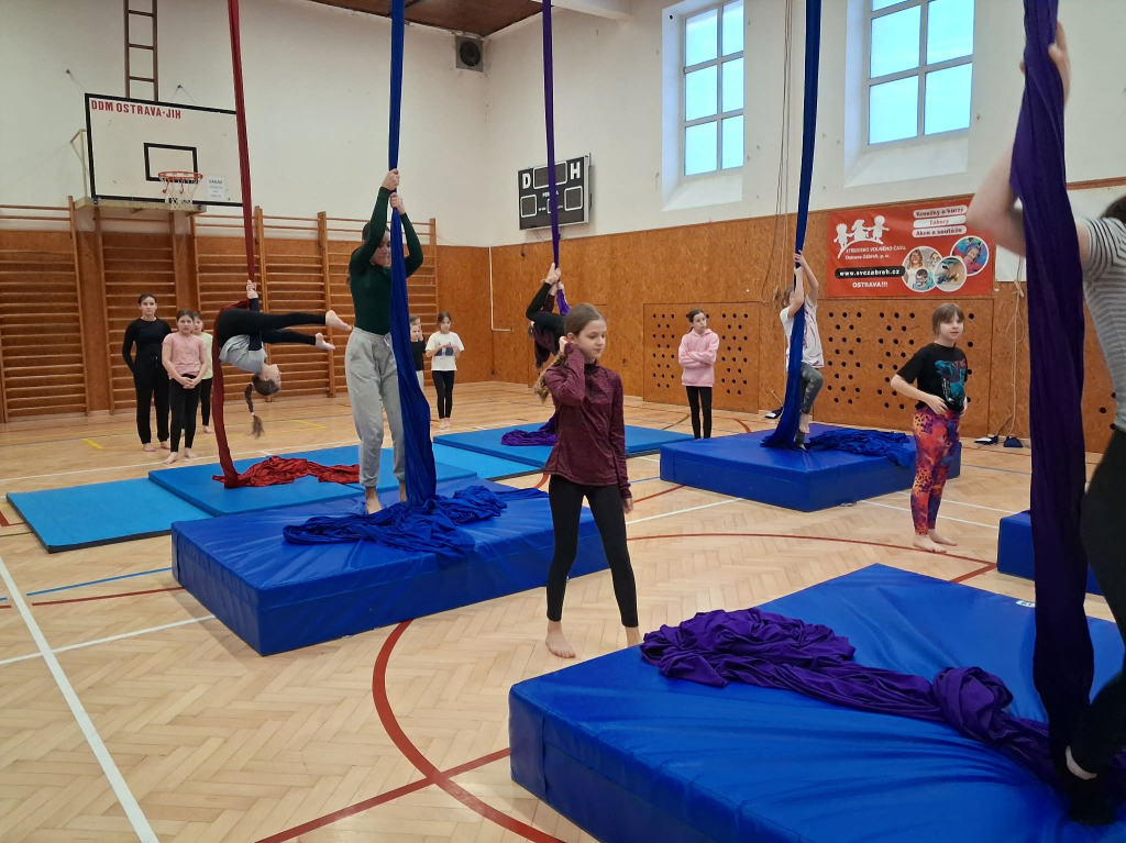 503c7df9-e64f-4129-844b-47ce92d49e05.jfif