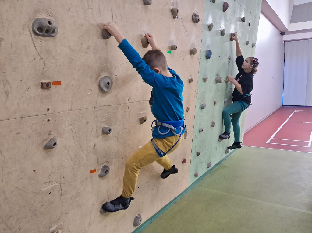 3e247473-f9c3-42e4-b08d-b531ff72e1c3.jfif