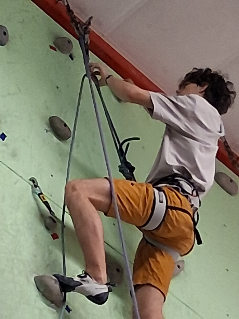 c1d4399f-974f-406b-84d6-77036156f6eb.jfif