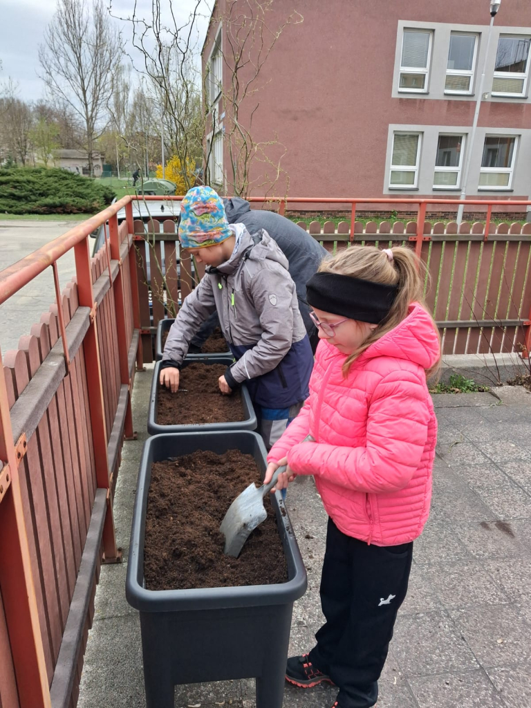 WhatsApp Image 2026-04-10 at 10.52.14 (1).jpeg