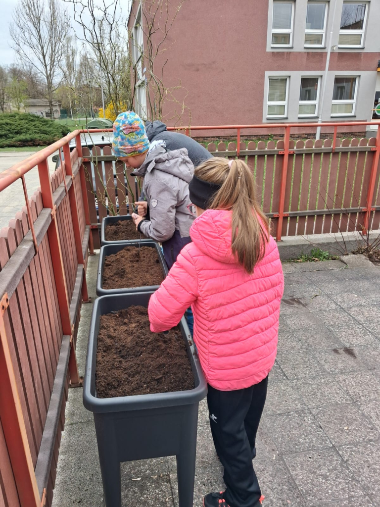 WhatsApp Image 2026-04-10 at 10.52.16.jpeg