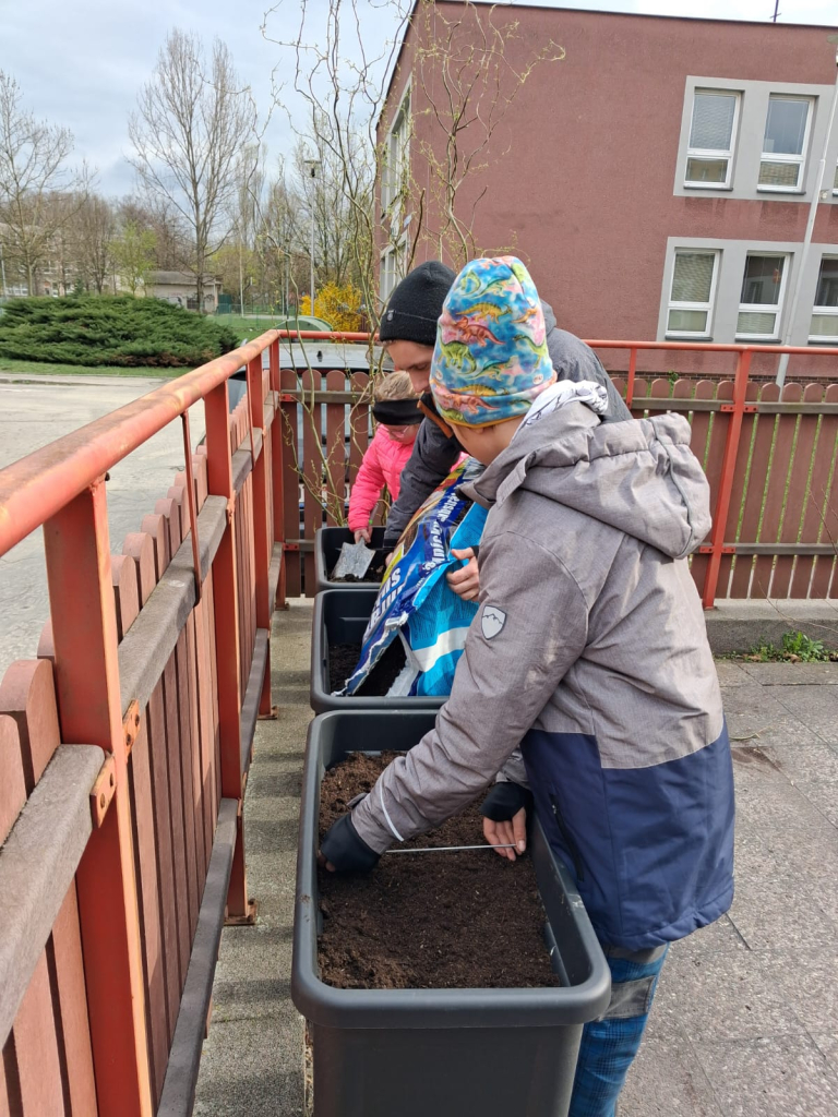 WhatsApp Image 2026-04-10 at 10.52.19 (1).jpeg