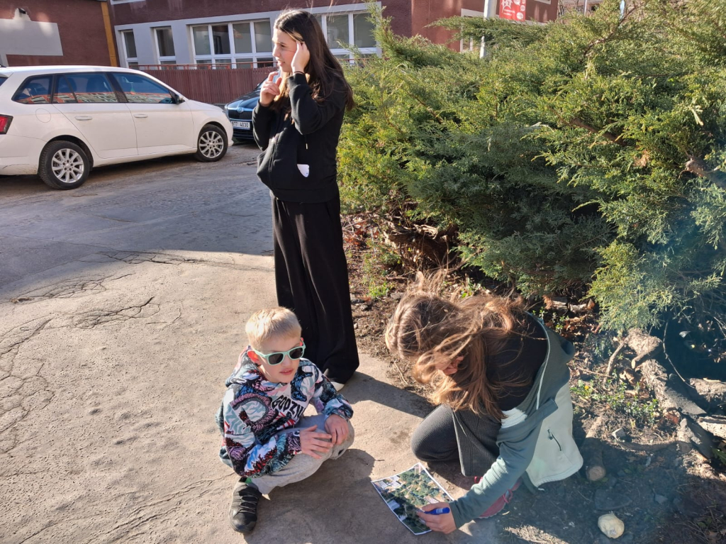 WhatsApp Image 2026-04-10 at 10.52.22 (1).jpeg