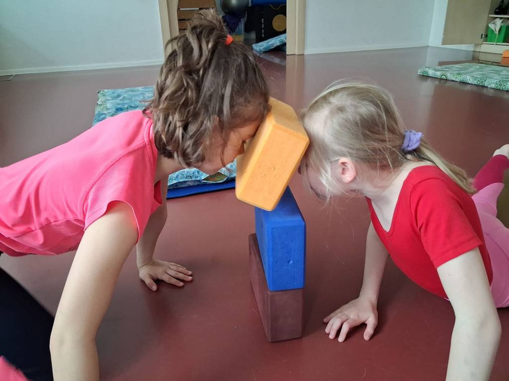 a5ff28a5-88db-422a-9f0c-bc1c4772f2e4.jfif