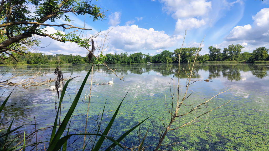 1000076929.jpg