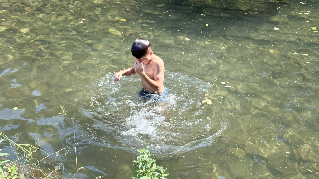 IMG_5339.JPEG