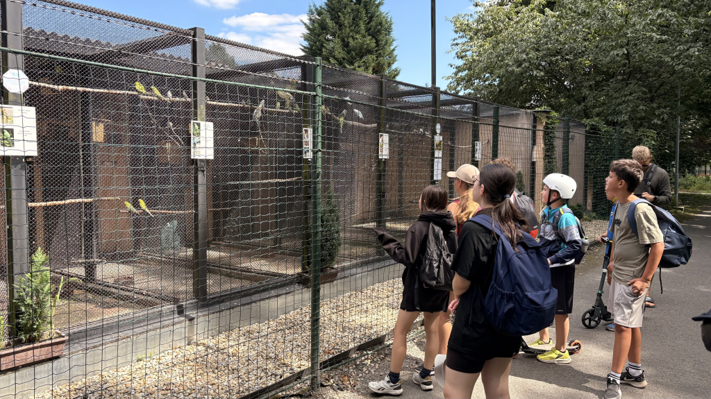 IMG_5578.jpeg