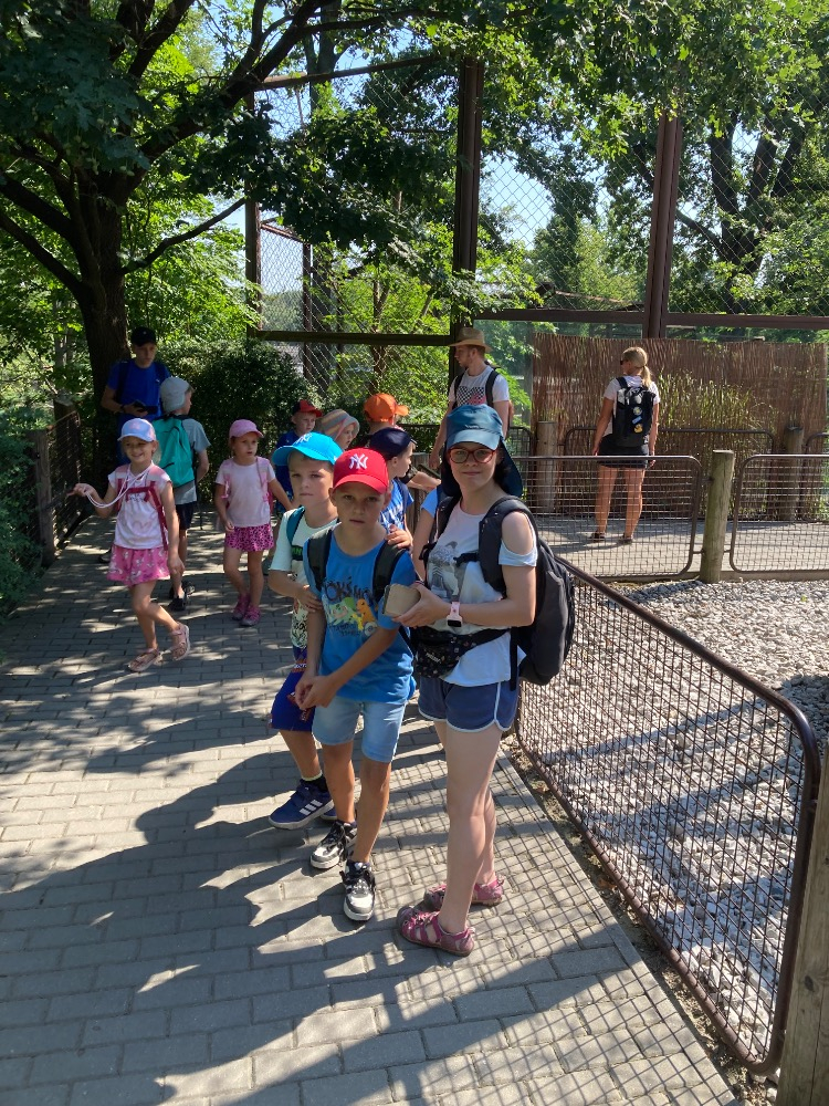 IMG_5099.jpeg