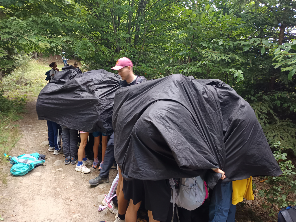 IMG_20260724_140124.jpg