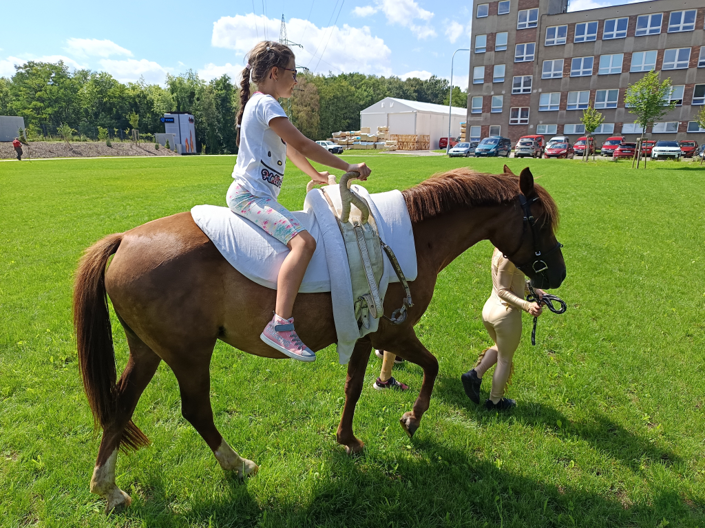 IMG_20260728_142736.jpg