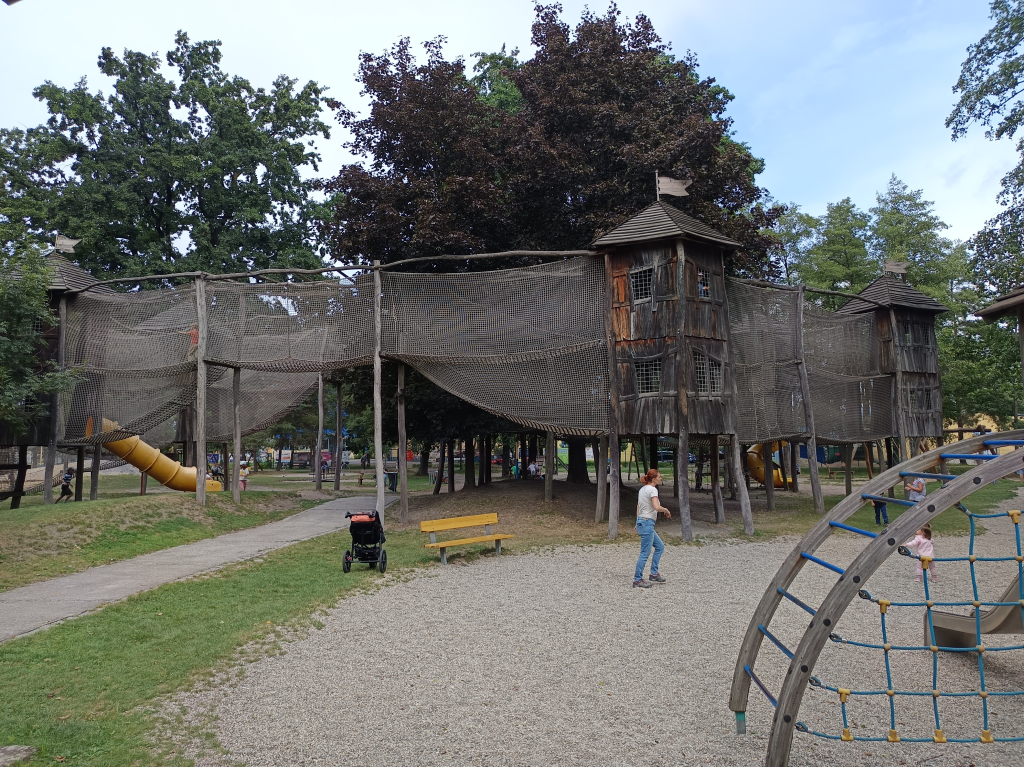 IMG_20260819_110722.jpg