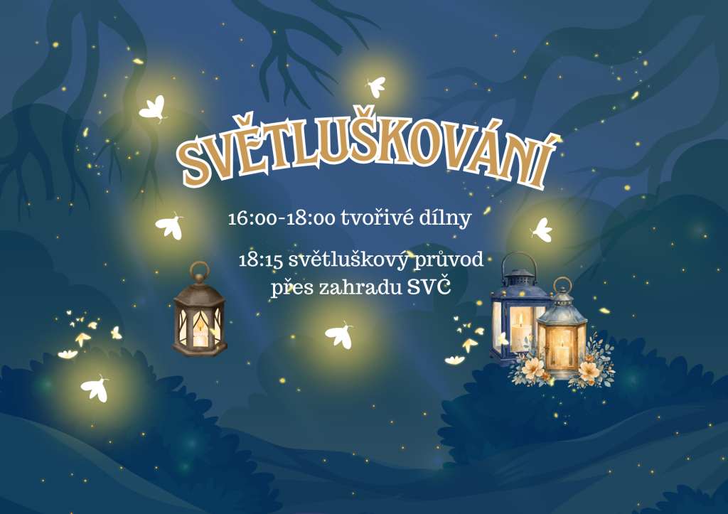 Světluškování