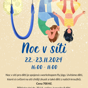 Noc v síti