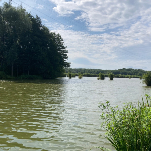 IMG_3012.jpeg