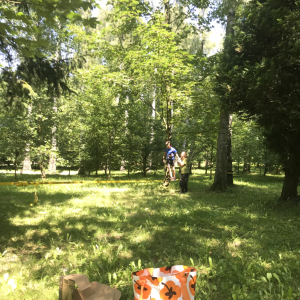 B110ABC2-FA58-482D-BA0A-B0B0BB003E36.jpeg