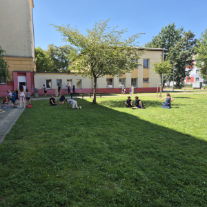 20250811_132940.jpg