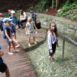 IMG_20250708_112655.jpg