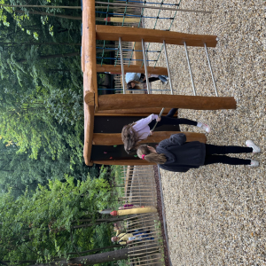 image8.jpeg