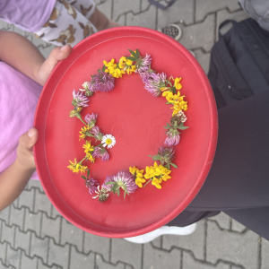 image11.jpeg