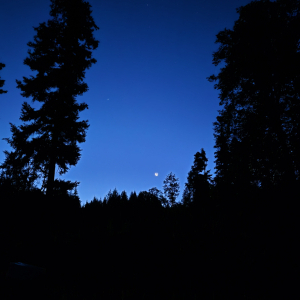 20250722_035934.jpg