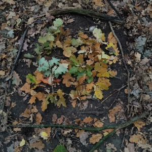 VÝTVARNÉ KROUŽKY 2025/2026 - ZÁLOM - 1. pololetí