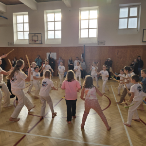 Přespávačka s capoeirou