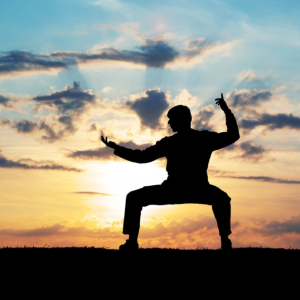Soustředění Wing Tsun Junior s přespávačkou - pro děti ZÚ			