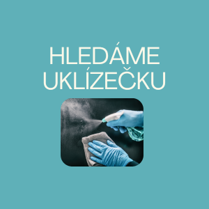 HLEDÁME UKLÍZEČKU